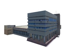 t center MVD