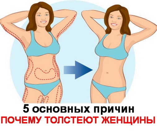 Основных причин почему толстеют женщины Основных причин почему толстеют женщины