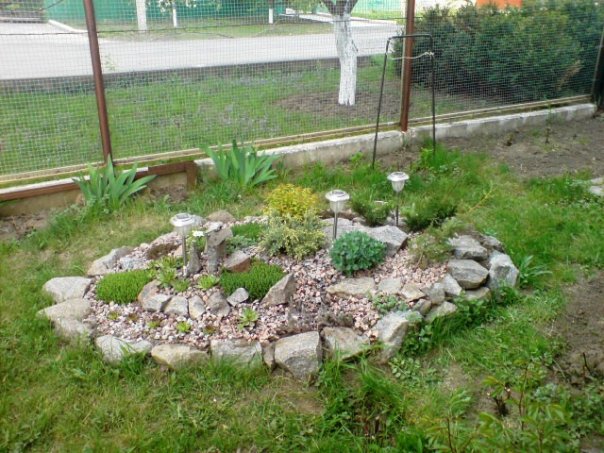 Альпийская горка своими руками просто Альпийская горка своими руками просто
