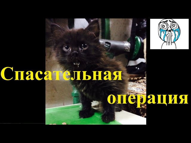 Самодельные тиски для сверлильного станка видео Самодельные тиски для сверлильного станка видео
