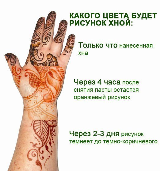 Есть ли чёрная хна для тату Есть ли чёрная хна для тату