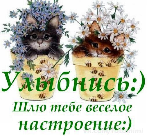 Открытки для веселого настроения 833