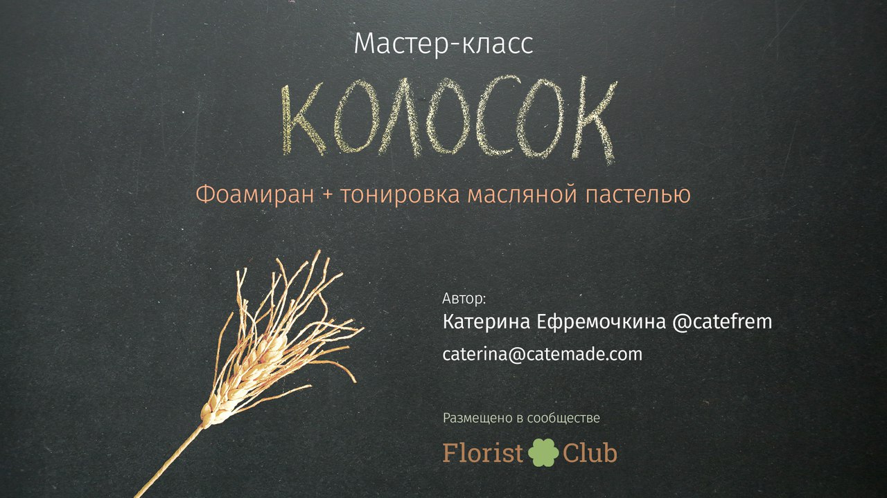 Колосок пшеницы