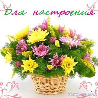 Вам открытка в контакте Вам открытка в контакте