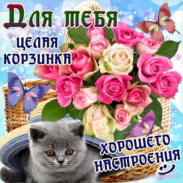 Открытка подруге для хорошего настроения 612