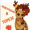 User photo