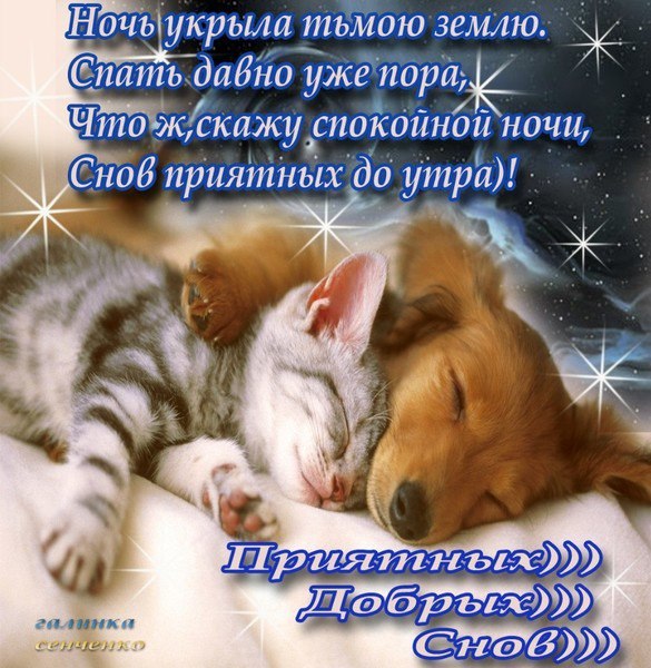 Приятное пожелание спокойной ночи своему парню Приятное пожелание спокойной ночи своему парню