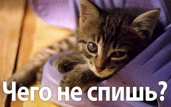 Открытки тому кому не спится Открытки тому кому не спится
