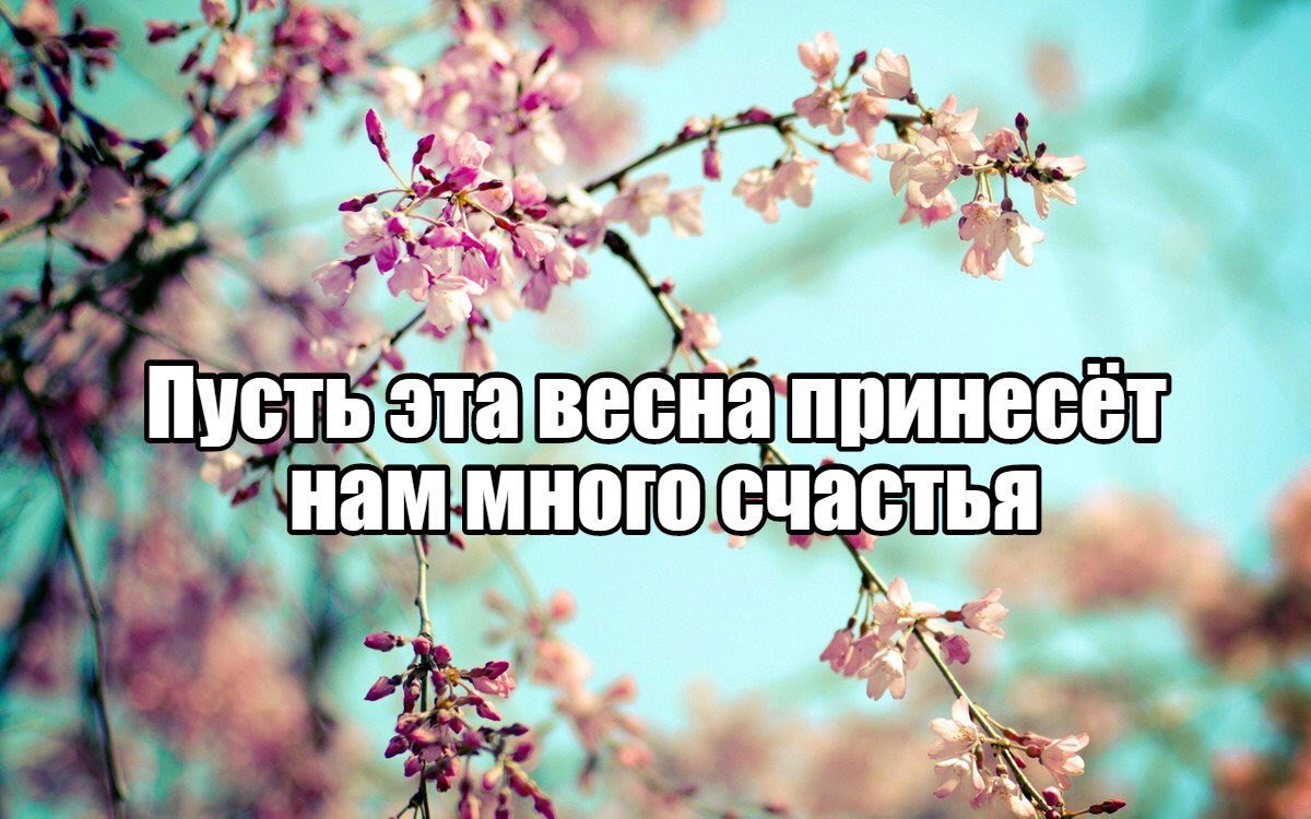 Пусть весна подарит нам Пусть весна подарит нам