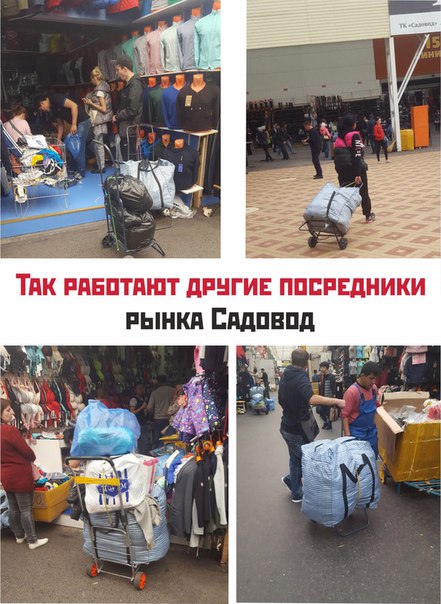 Как работает завтра садовод Как работает завтра садовод