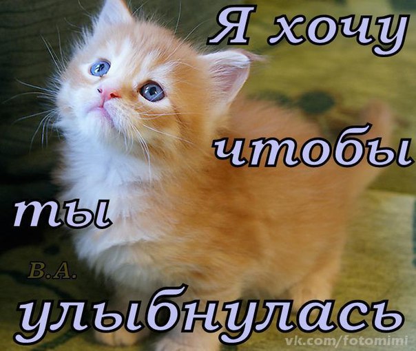 Открытки не расстраивайся улыбнись 86