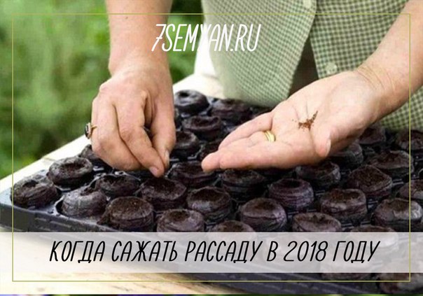Когда садить в 2018 году Когда садить в 2018 году