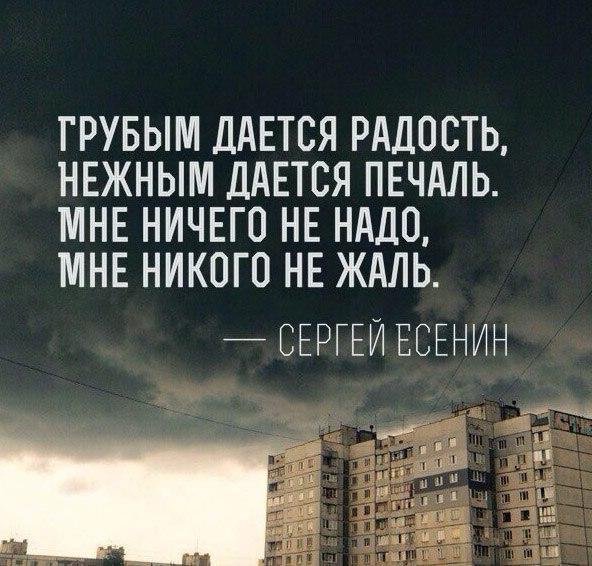 О чем стих есенина грубым дается О чем стих есенина грубым дается