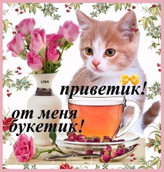 Открытки большой приветик от меня 85