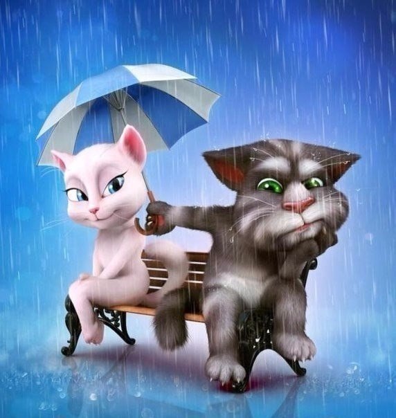 Открытки не злись на меня любимый 94