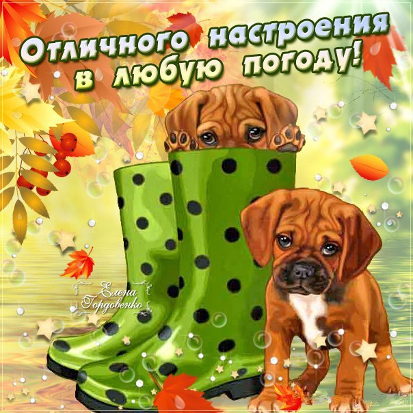 Отличное настроение подарок 34