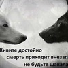 User photo