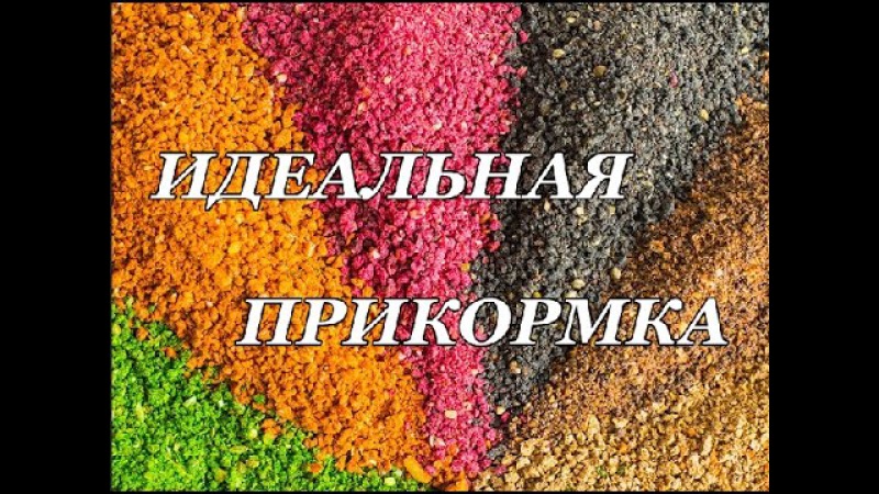 Самодельная прикормка для леща летом Самодельная прикормка для леща летом