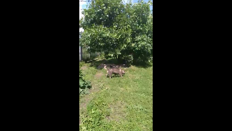 Слежка за своими руками Слежка за своими руками