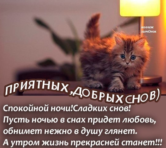 Вышивка орнаментов на подушке Вышивка орнаментов на подушке