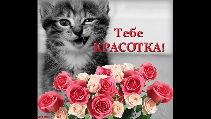 Открытка красотуля моя 98