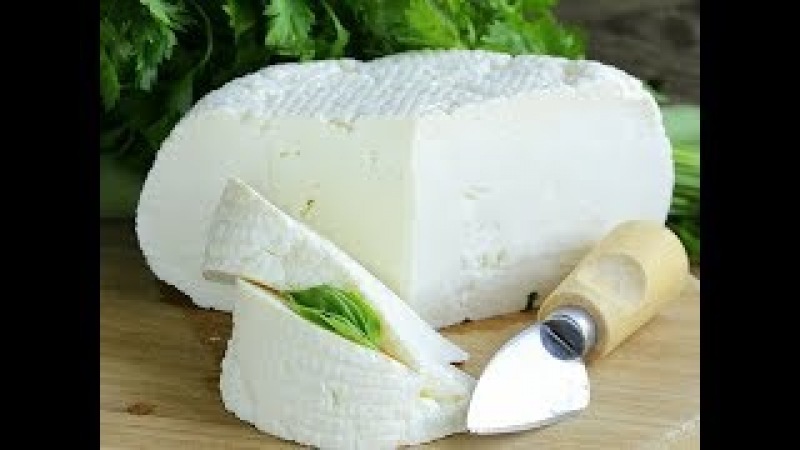 Приготовление брынза в домашних условиях из козье молоко 598
