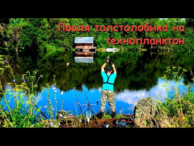 Изготовление технопланктона в домашних условиях Изготовление технопланктона в домашних условиях
