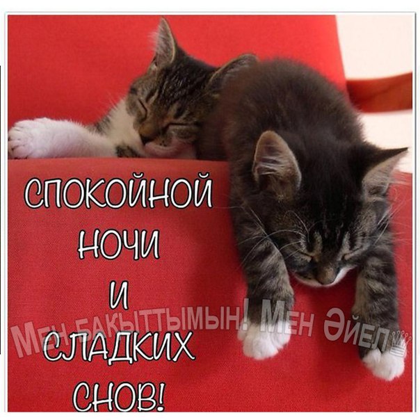Открытки спокойной ночи и приятного сна 204