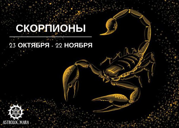 Долларовый цветок всё о нём Долларовый цветок всё о нём