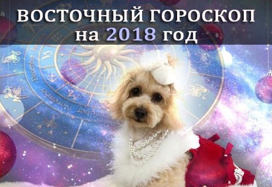 Гороскоп на 2018 год для Крысы - Гороскопы Гороскоп на 2018 год для Крысы - Гороскопы