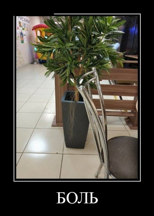 http://pp.userapi.com/c849416/v849416314/11e6d9/5YY7QjJZzlw.jpg