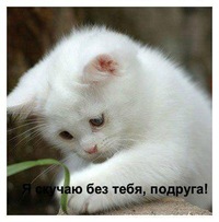 Настя Карманова