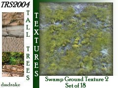 swamp-grnd2-10