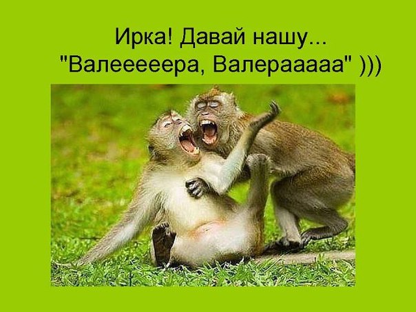 Днем рождения, приколы про ирин картинки