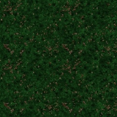 TS12-614127-Ger-Grass-02