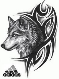 Николай Попозогло