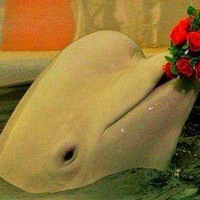 Людмила Петрова