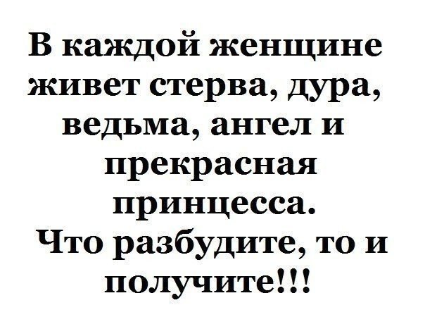 Смешные, прикольные картинки с надписями для стерв