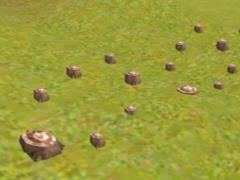 tree stumps