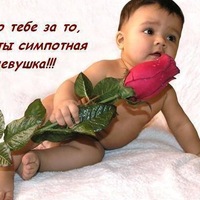 Алексей Шаповалов