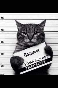 Антон Антошкин