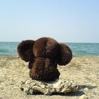 Колян Козлов