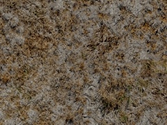 wp_texture43_ground