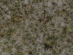 wp_texture22_ground_no_grass