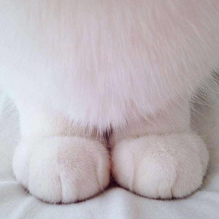 hixkPyx2Hn0.jpg