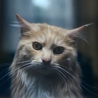 Валерий Егоров