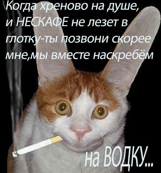 Ватсапе, картинки с надписью все хреново