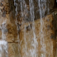 Алекса Соколова