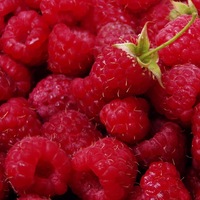 Ирина Мищенко