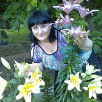 Светлана Шевелева